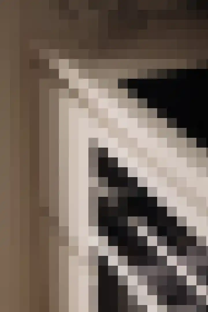 Bosveld 21 Beegden thumbnail 4