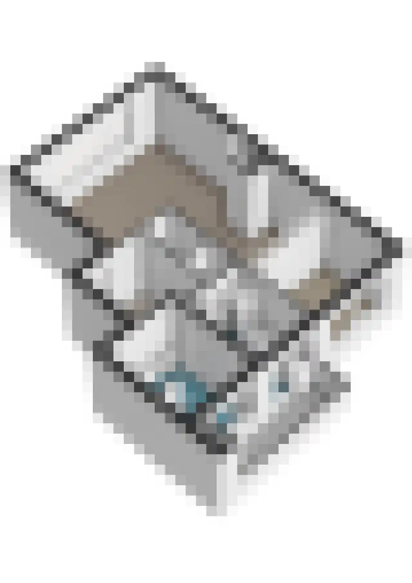 Bosveld 21 Beegden thumbnail 40