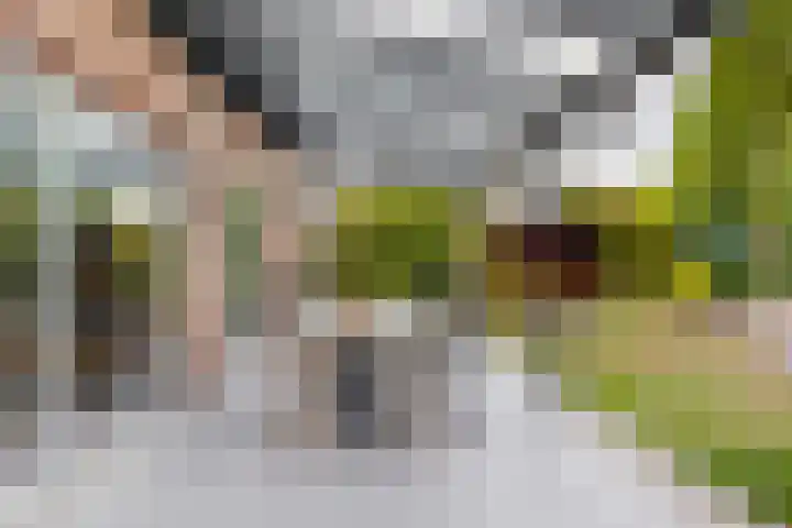 Bosveld 21 Beegden thumbnail 40