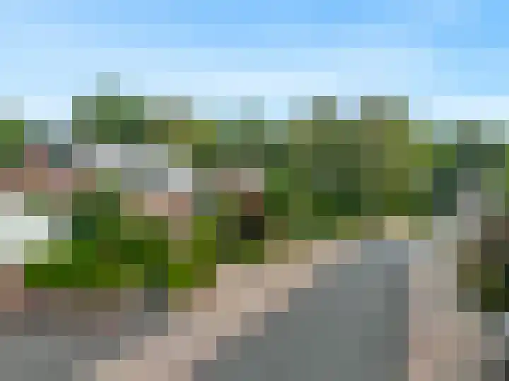 Bosveld 21 Beegden thumbnail 41