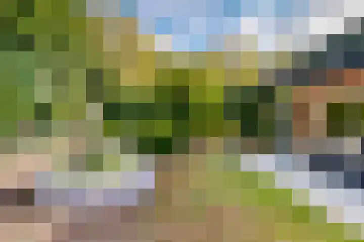 Bosveld 21 Beegden thumbnail 5