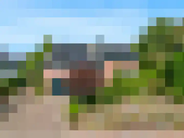 Bosveld 21 Beegden thumbnail 6