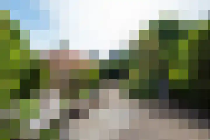 Bosveld 21 Beegden thumbnail 7