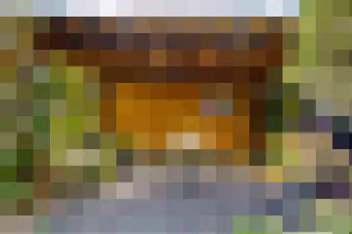 Bosveld 21 Beegden thumbnail 8