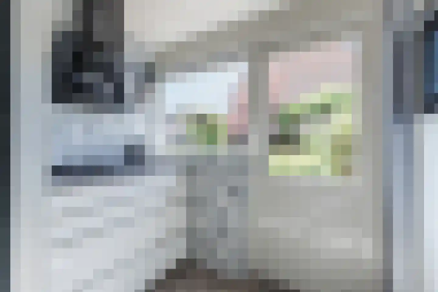 Bosveld 26 Wouw thumbnail 12