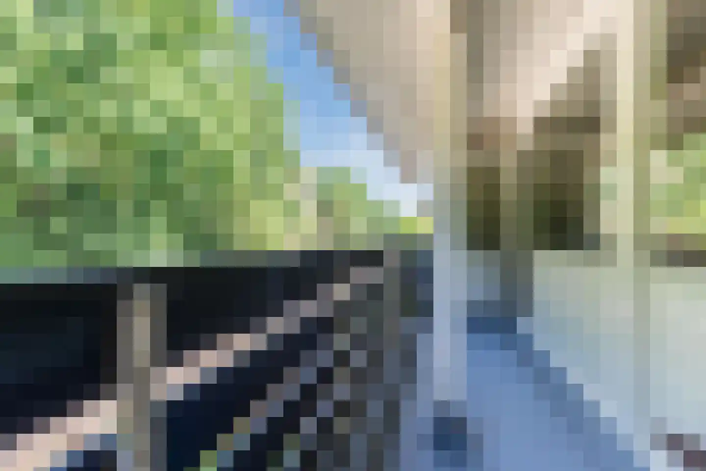 Bosveld 26 Wouw thumbnail 24