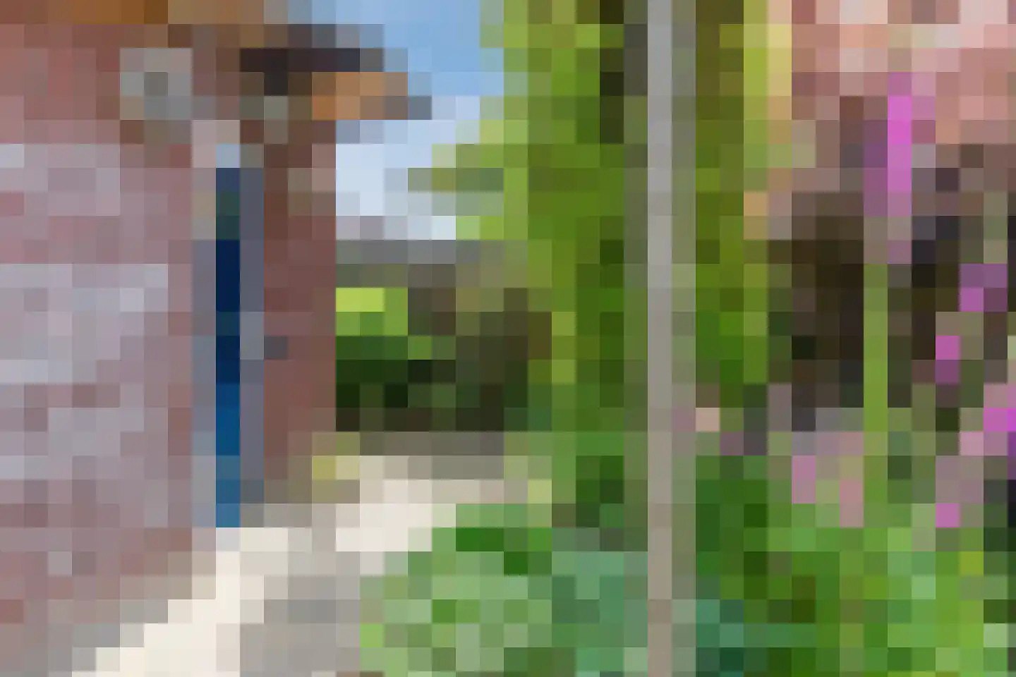 Bosveld 26 Wouw thumbnail 31