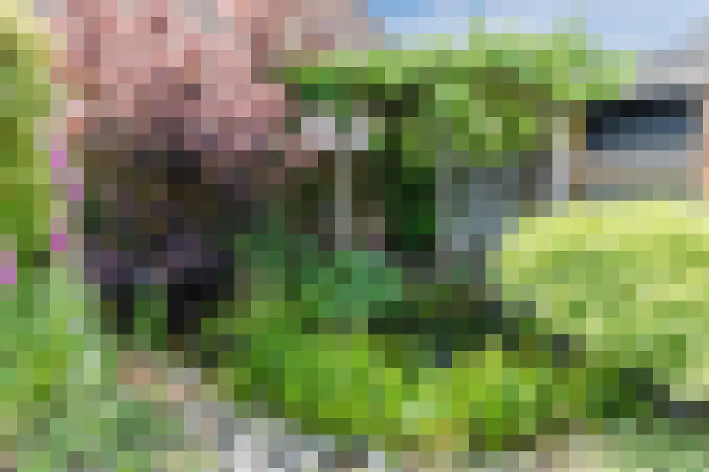 Bosveld 26 Wouw thumbnail 34