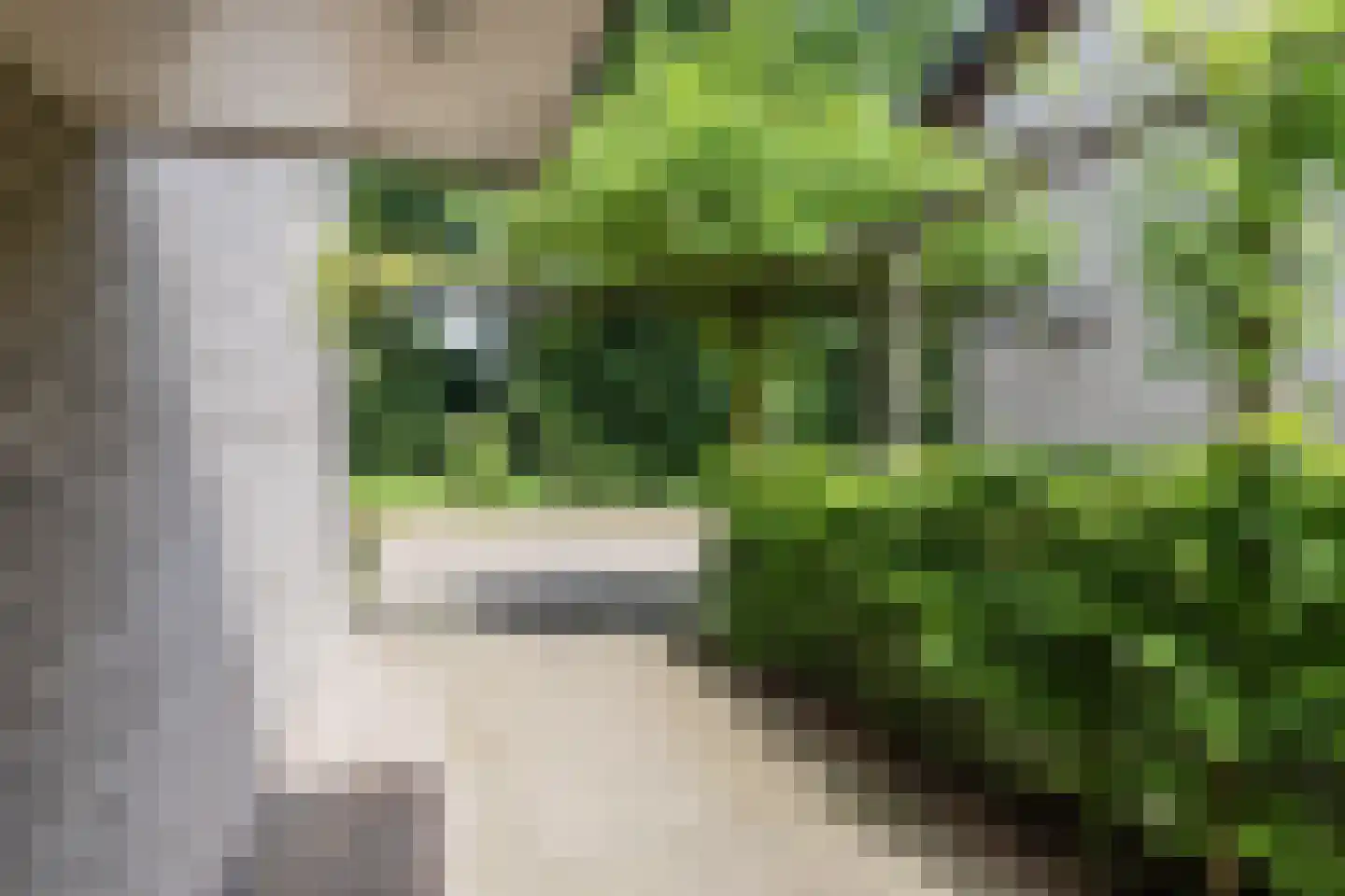 Bosveld 26 Wouw thumbnail 38