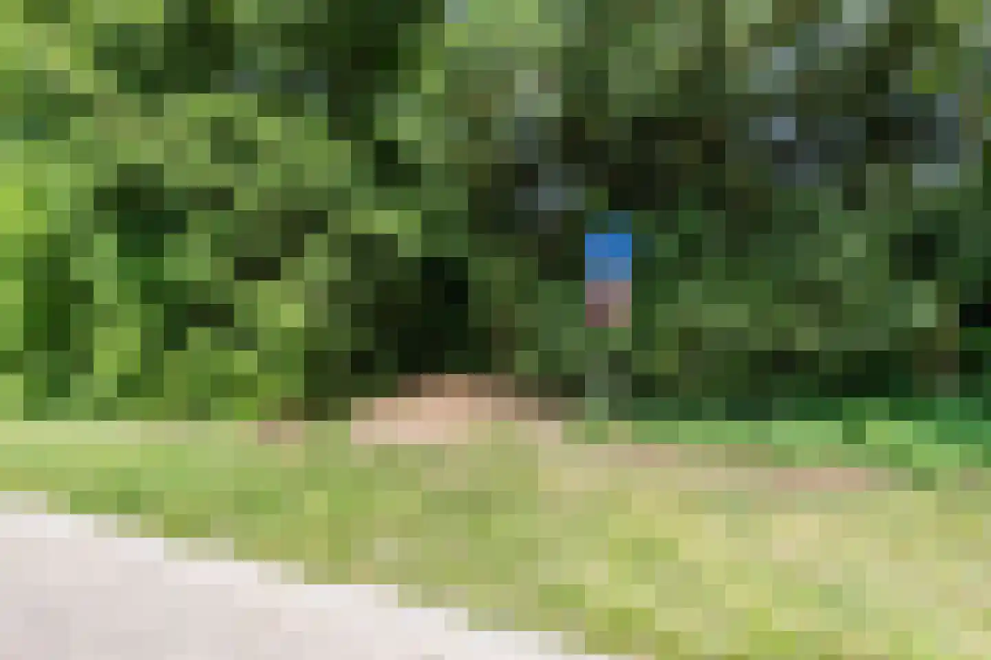 Bosveld 26 Wouw thumbnail 39