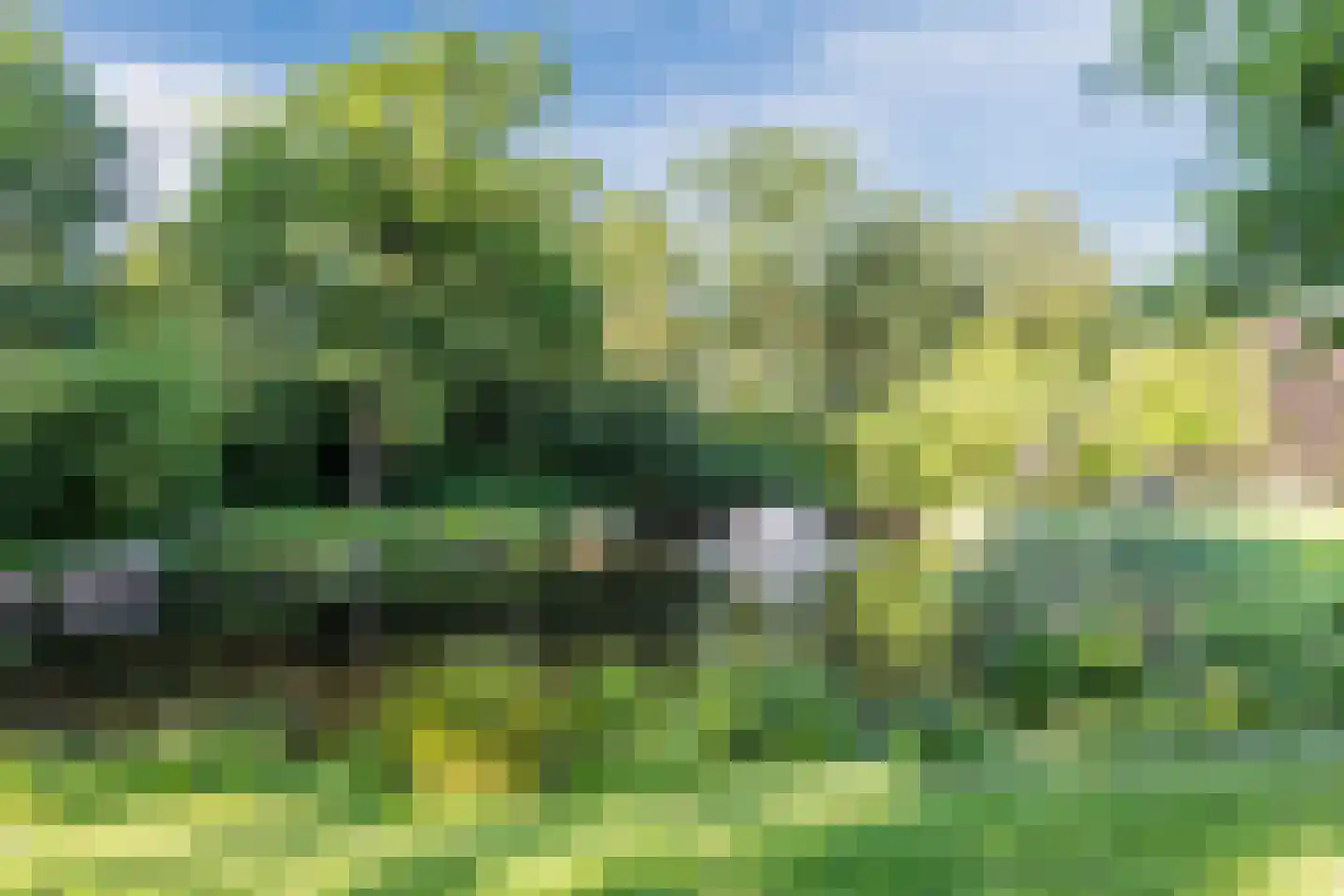 Bosveld 26 Wouw thumbnail 40