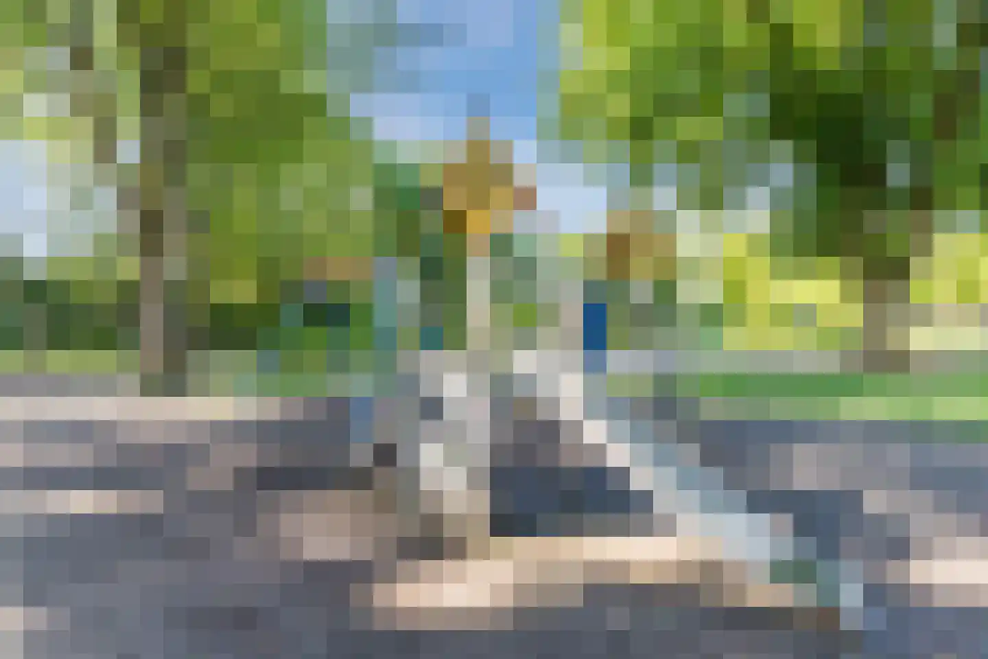 Bosveld 26 Wouw thumbnail 41