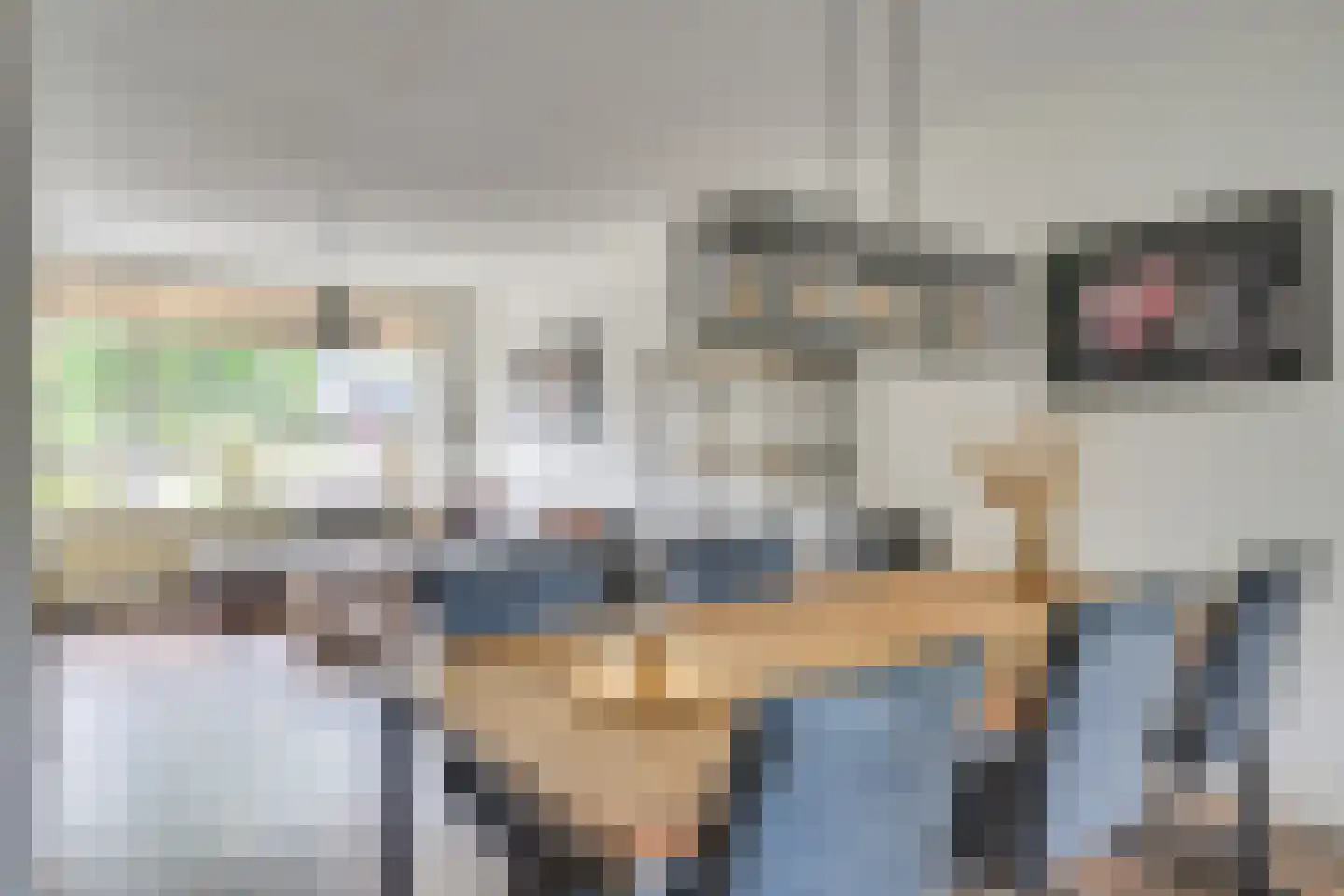 Bosveld 302 Uden thumbnail 10