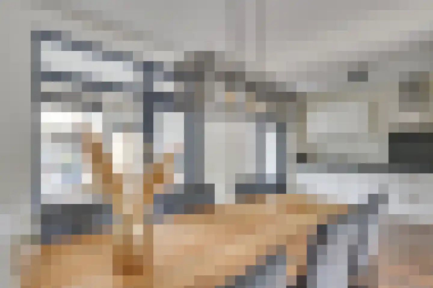 Bosveld 302 Uden thumbnail 12