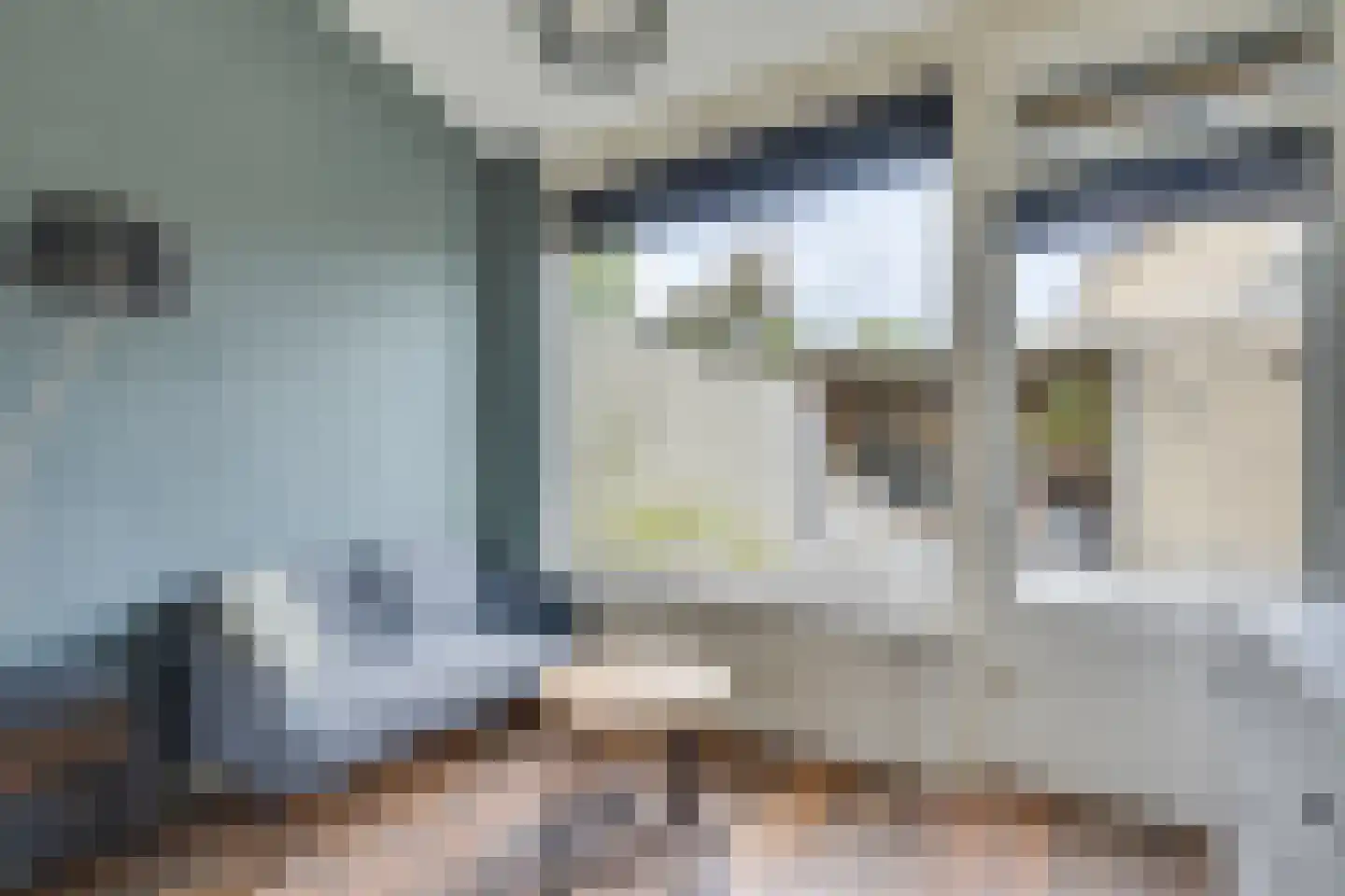 Bosveld 302 Uden thumbnail 14