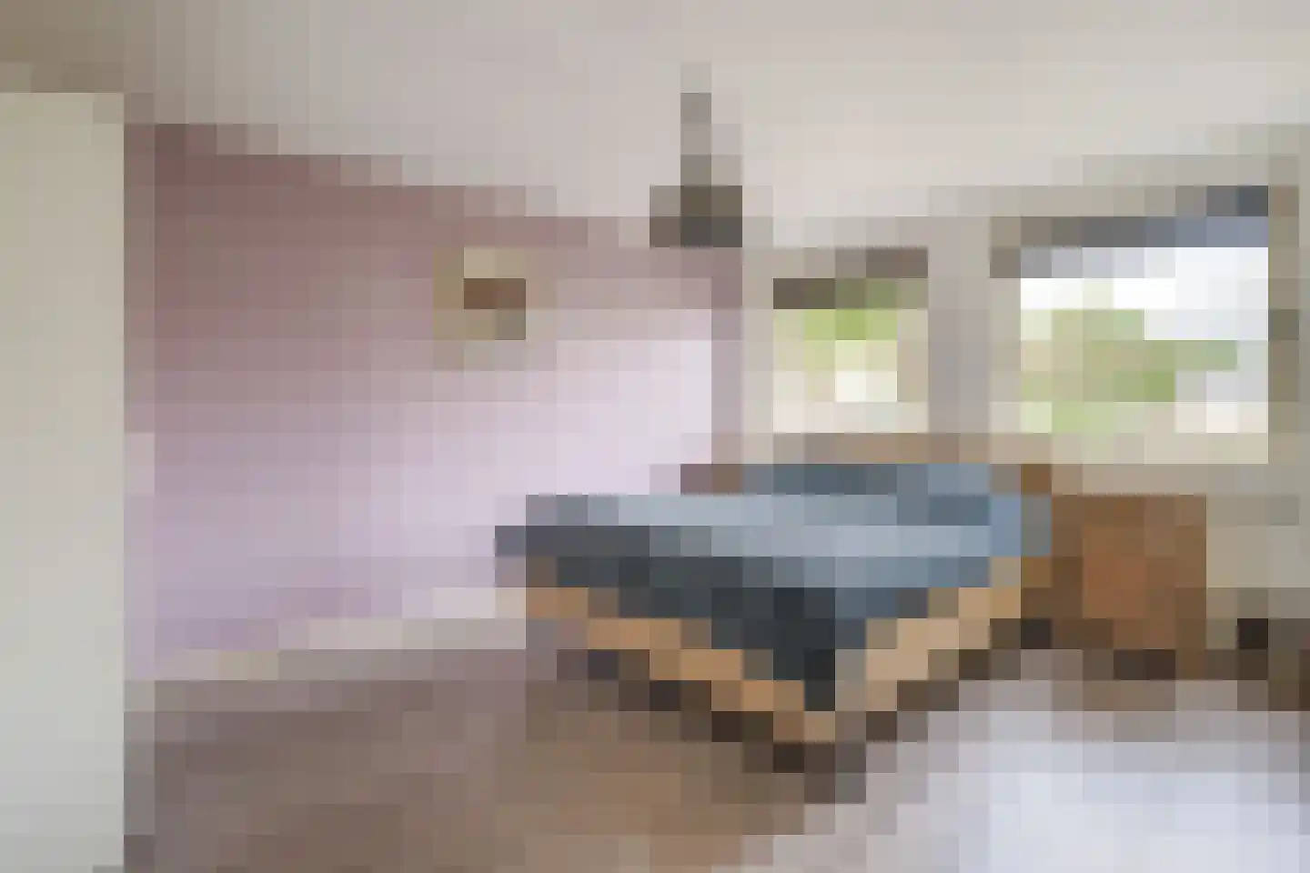 Bosveld 302 Uden thumbnail 18