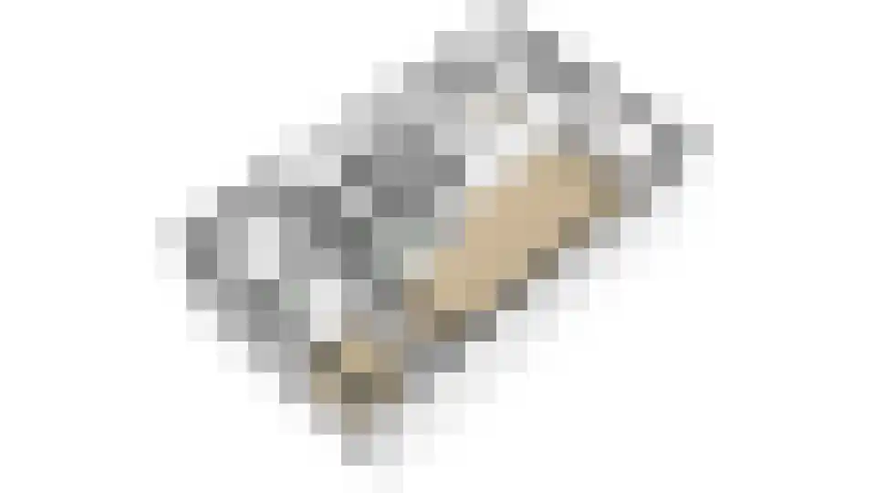 Bosveld 302 Uden thumbnail 33
