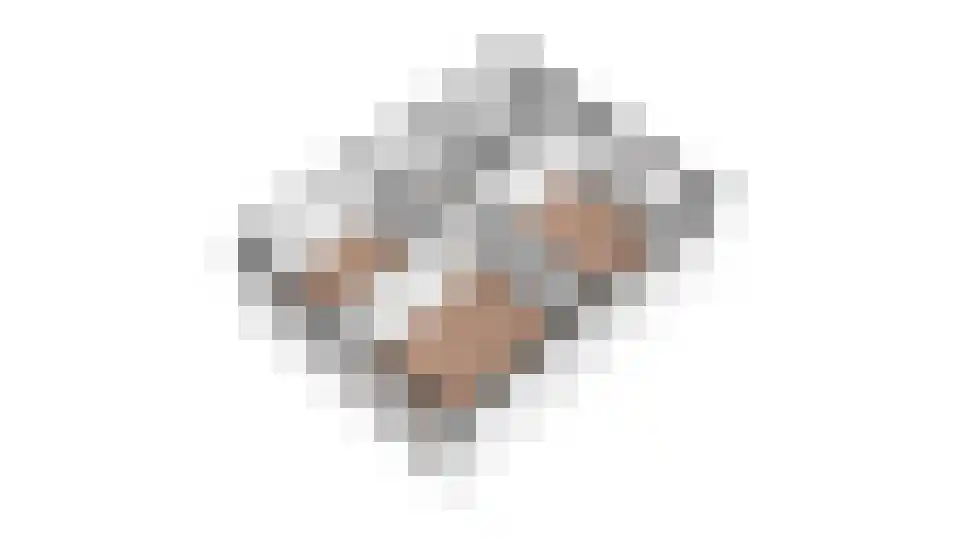 Bosveld 302 Uden thumbnail 36