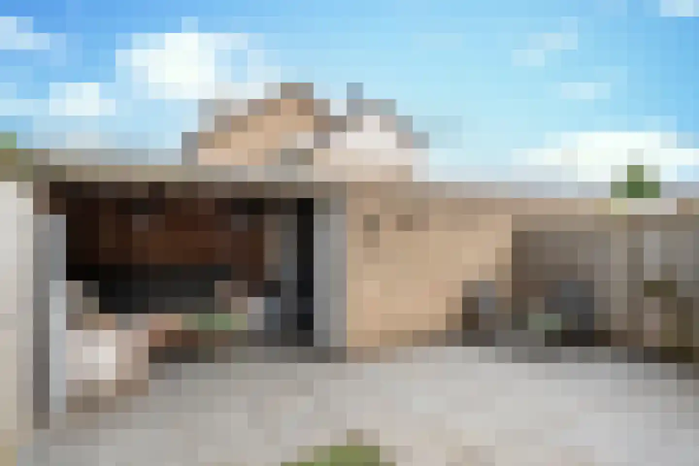 Bosveld 302 Uden thumbnail 4