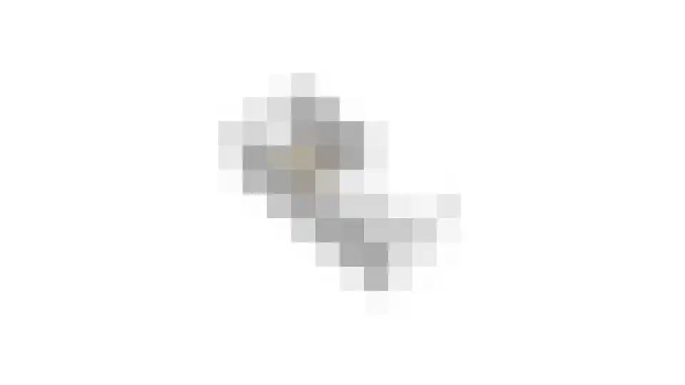 Bosveld 302 Uden thumbnail 42