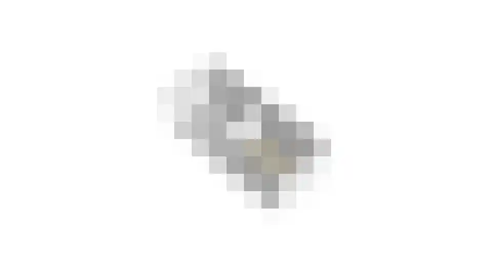 Bosveld 302 Uden thumbnail 43