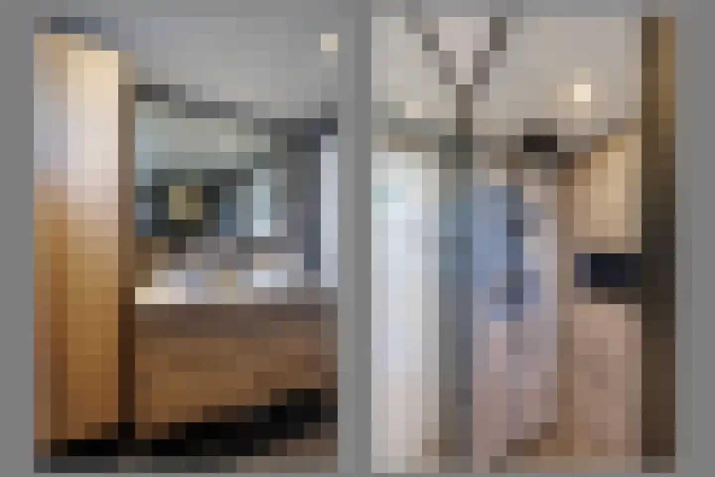 Bosveld 311 Uden thumbnail 19