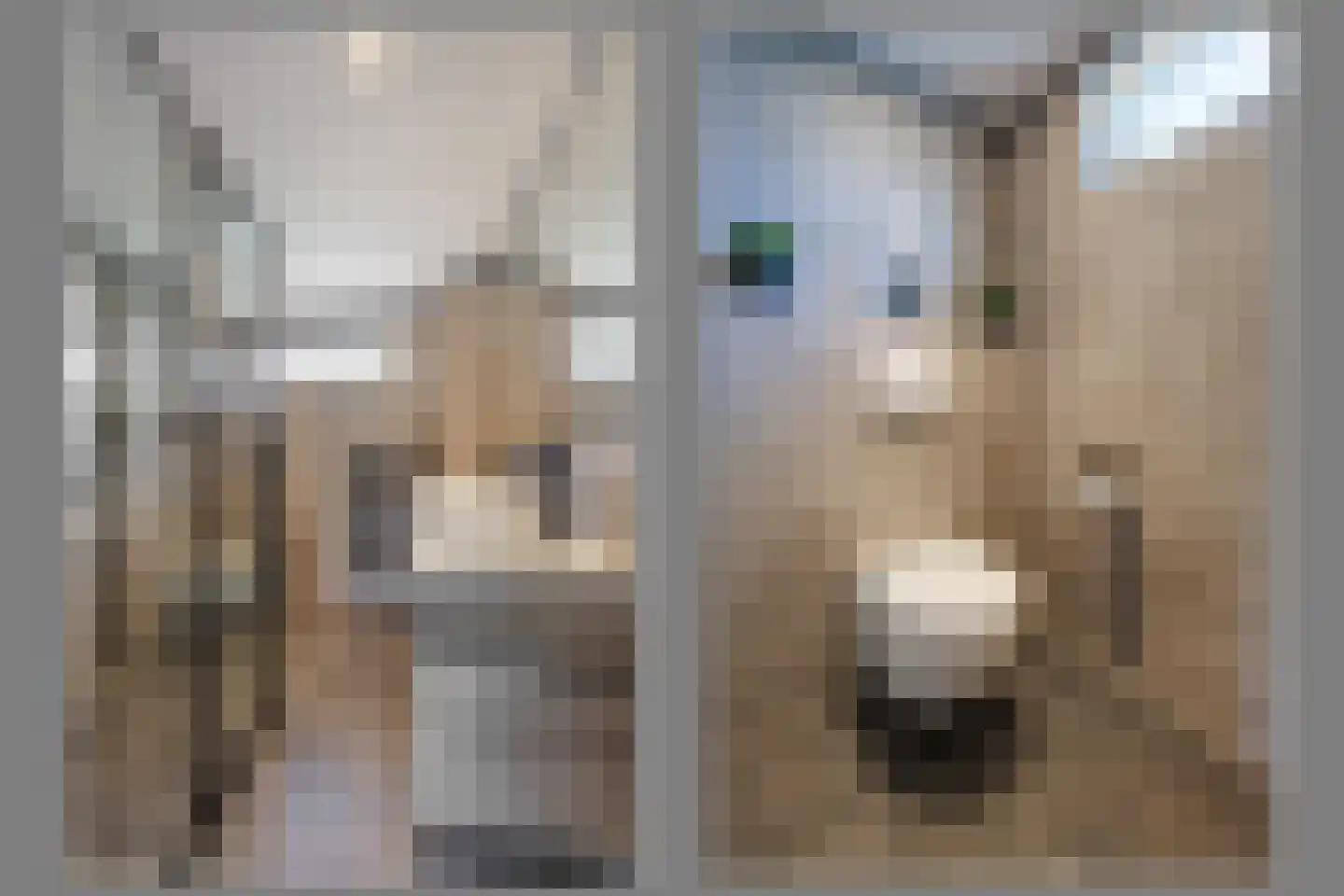 Bosveld 311 Uden thumbnail 20