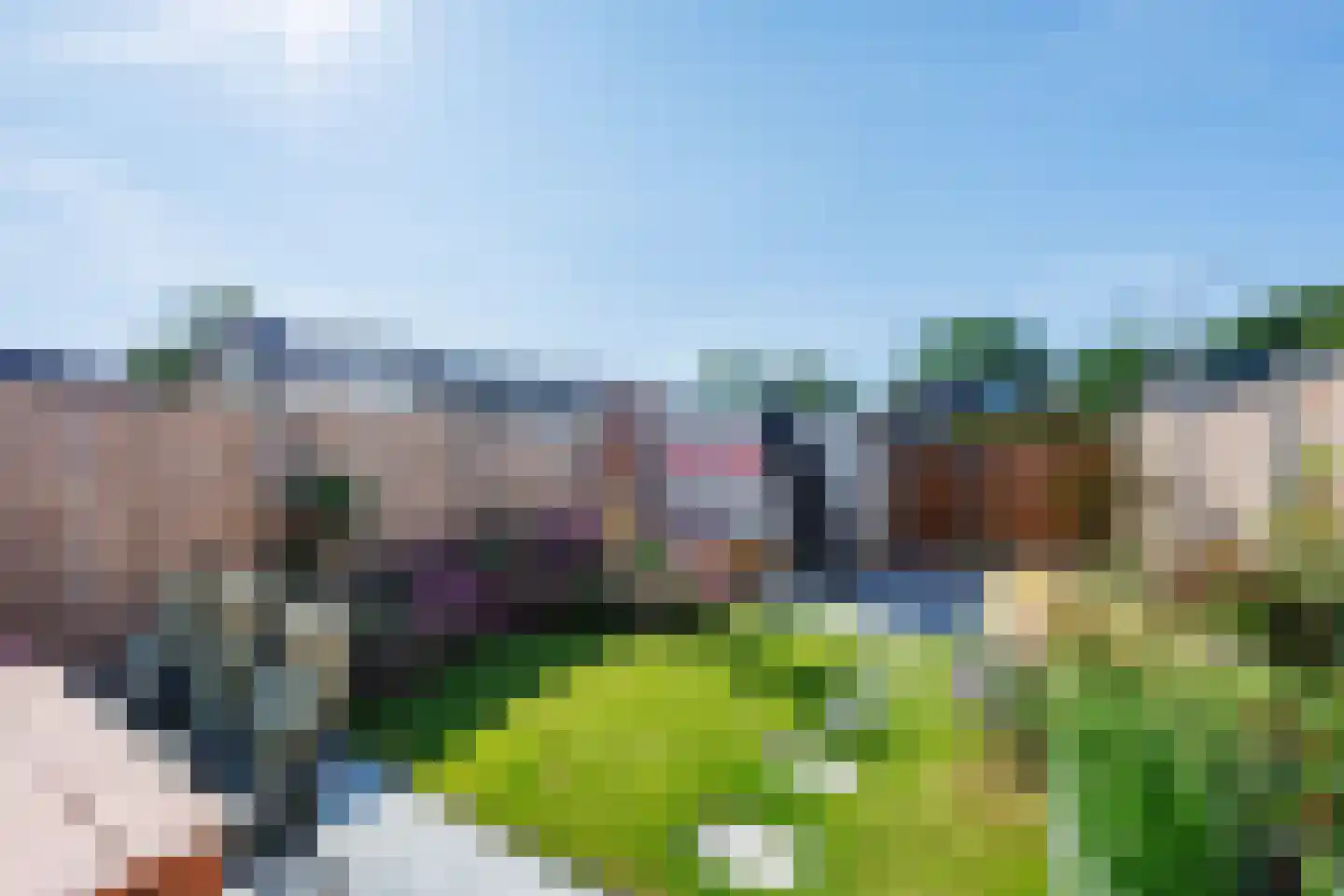 Bosveld 311 Uden thumbnail 33