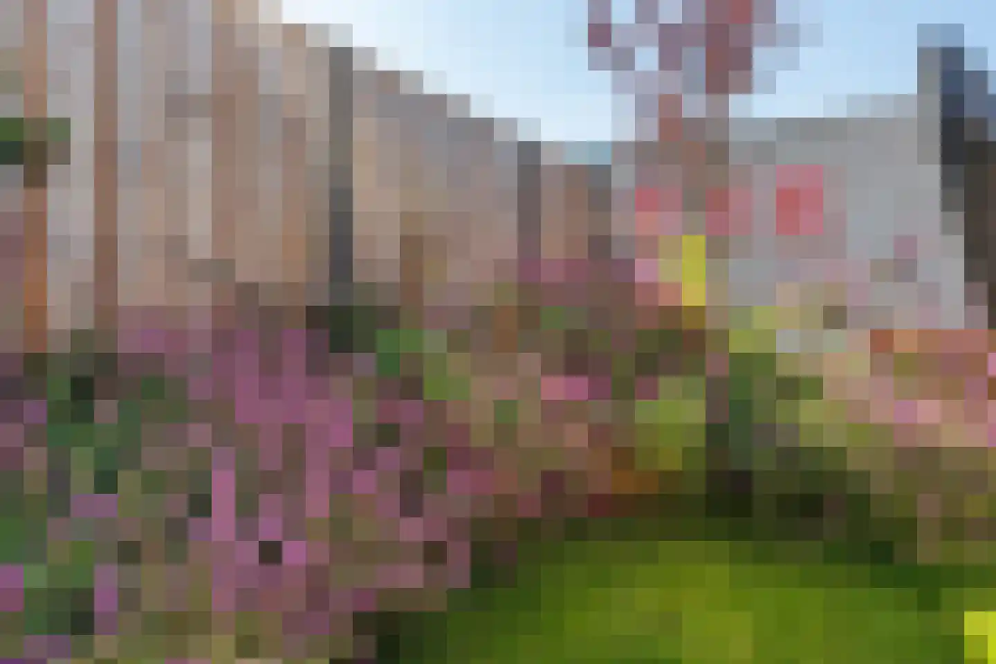 Bosveld 311 Uden thumbnail 35