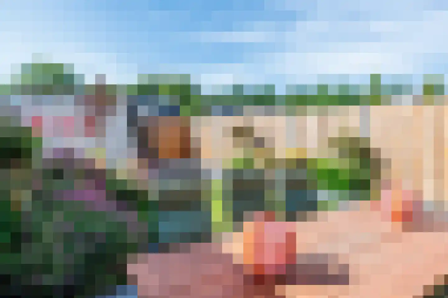 Bosveld 311 Uden thumbnail 36