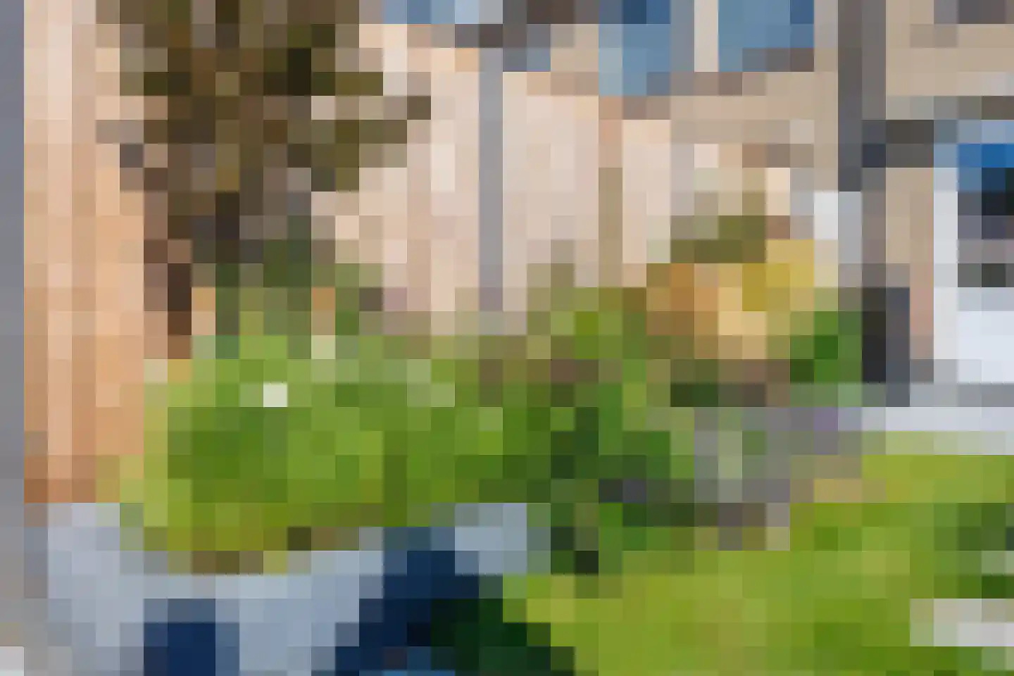 Bosveld 311 Uden thumbnail 38