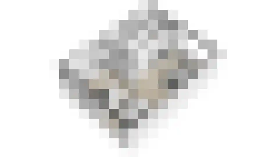Bosveld 311 Uden thumbnail 50