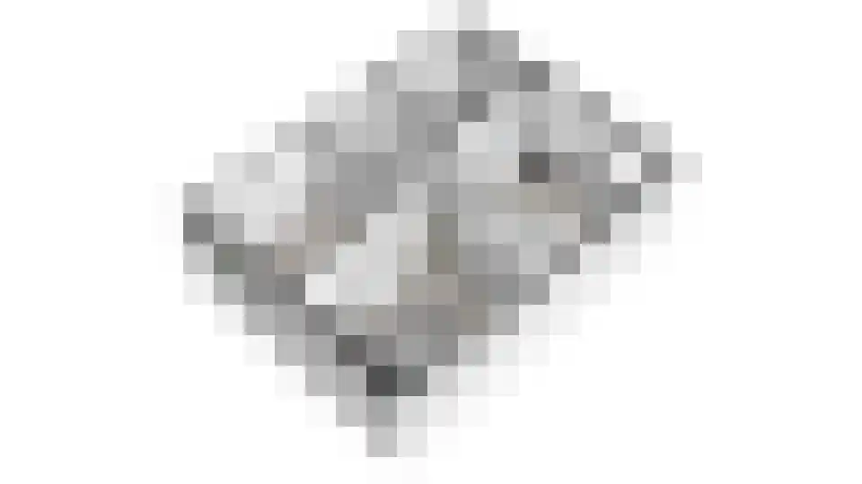 Bosveld 311 Uden thumbnail 51