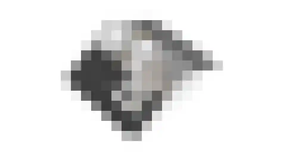 Bosveld 311 Uden thumbnail 52