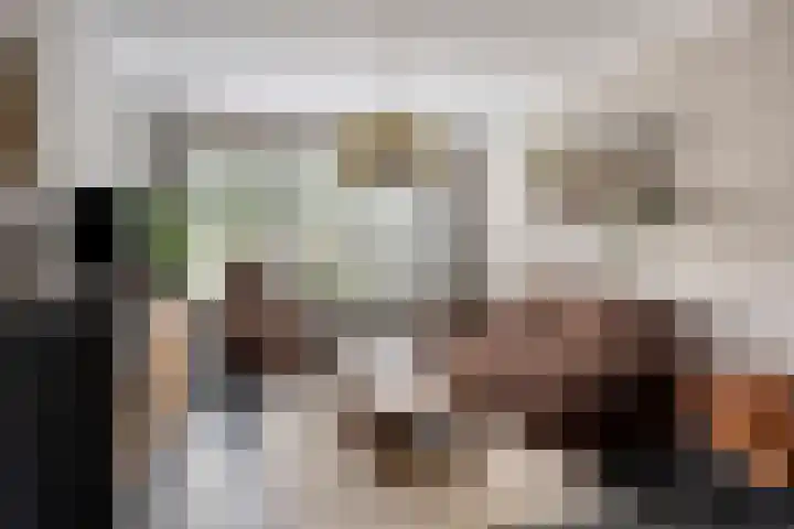 Bosveld 322 Uden thumbnail 10