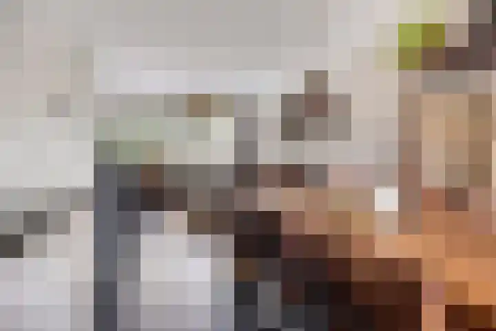 Bosveld 322 Uden thumbnail 13