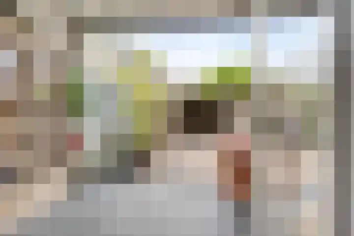 Bosveld 322 Uden thumbnail 14