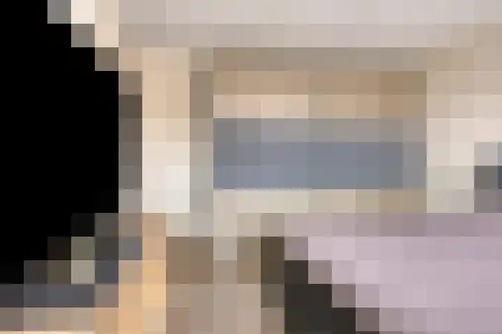 Bosveld 322 Uden thumbnail 17