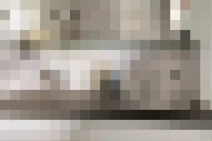 Bosveld 322 Uden thumbnail 19