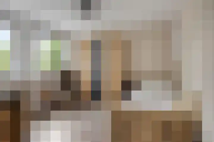 Bosveld 322 Uden thumbnail 21