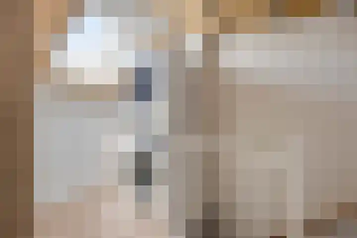 Bosveld 322 Uden thumbnail 24
