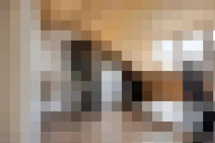 Bosveld 322 Uden thumbnail 25