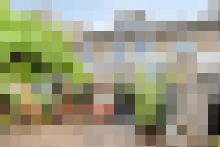 Bosveld 322 Uden thumbnail 27