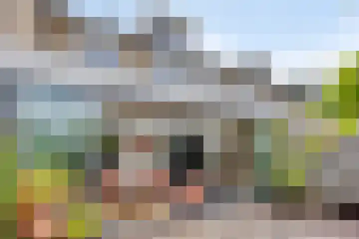 Bosveld 322 Uden thumbnail 28