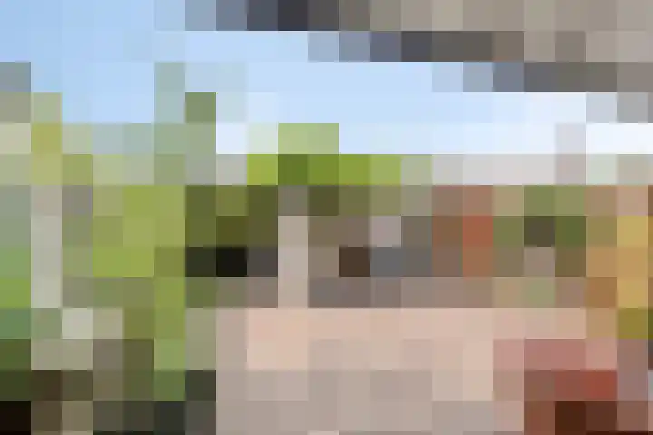 Bosveld 322 Uden thumbnail 29