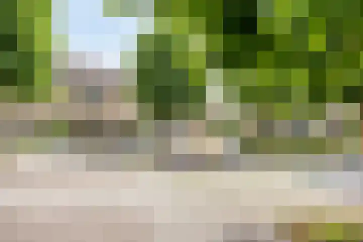 Bosveld 322 Uden thumbnail 30
