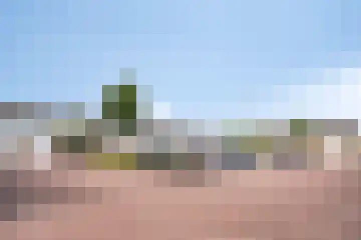 Bosveld 322 Uden thumbnail 31