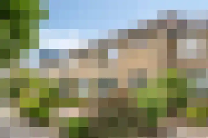 Bosveld 322 Uden thumbnail 32
