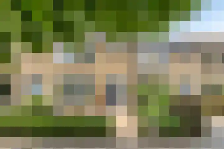 Bosveld 322 Uden thumbnail 33