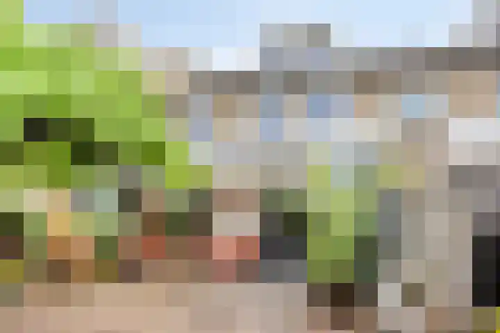 Bosveld 322 Uden thumbnail 4